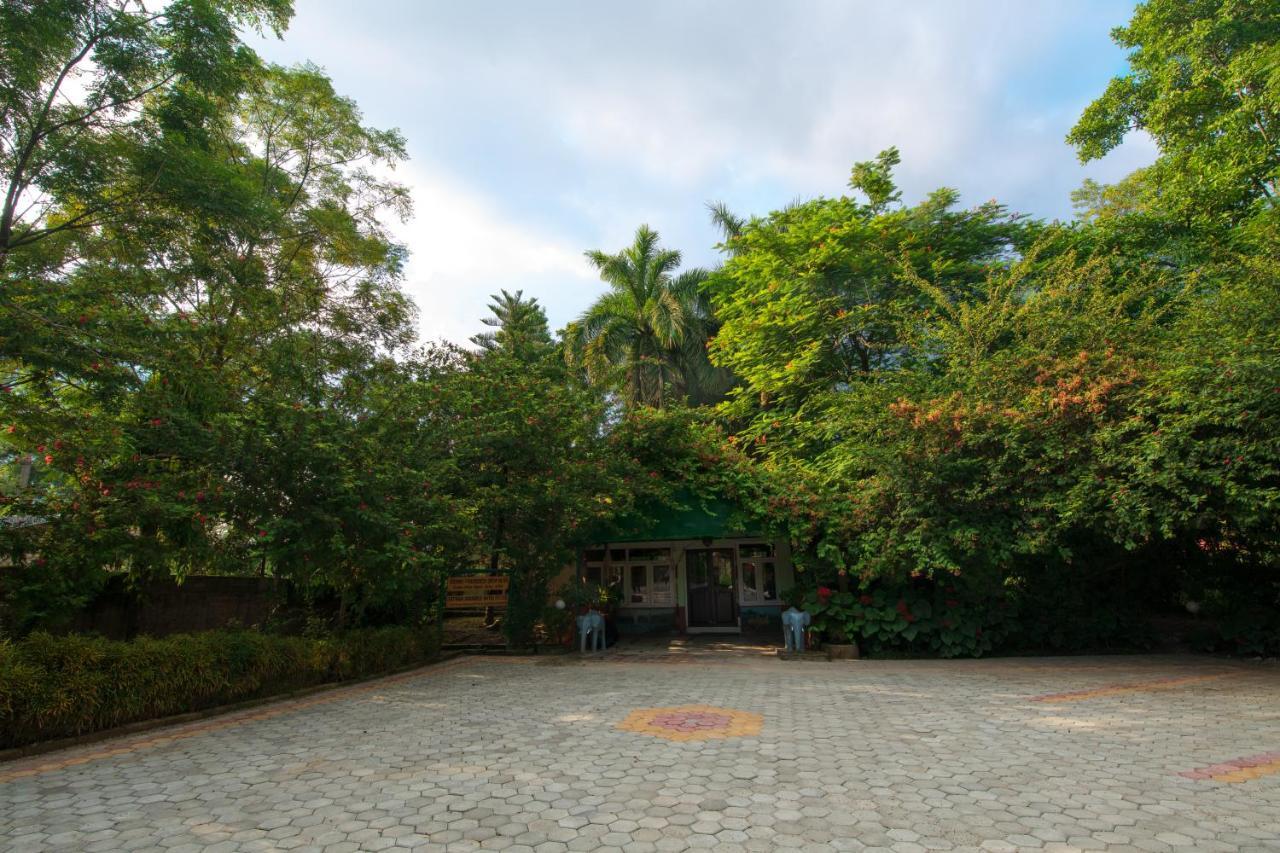 Chitwan Paradise Hotel Саураха Екстер'єр фото