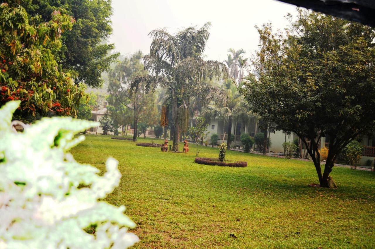 Chitwan Paradise Hotel Саураха Екстер'єр фото