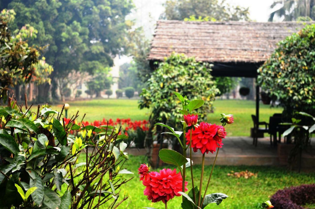 Chitwan Paradise Hotel Саураха Екстер'єр фото