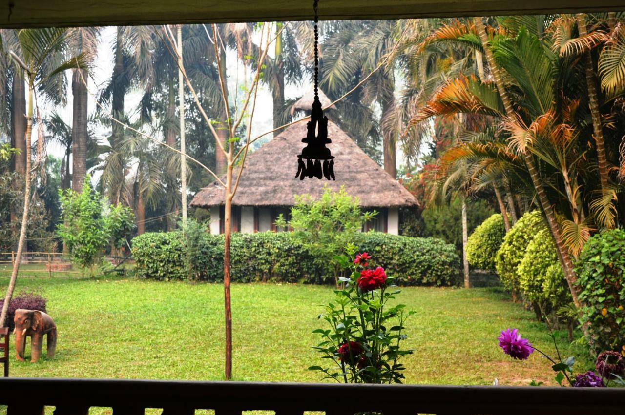 Chitwan Paradise Hotel Саураха Екстер'єр фото