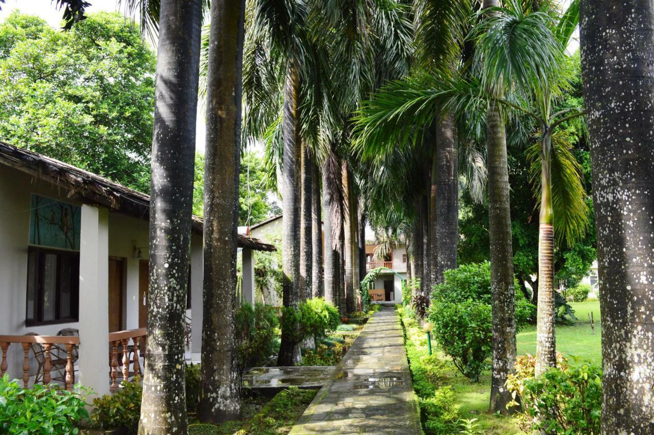 Chitwan Paradise Hotel Саураха Екстер'єр фото