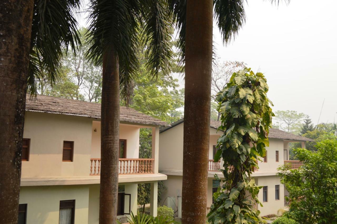 Chitwan Paradise Hotel Саураха Екстер'єр фото
